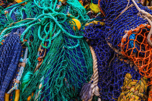 Fishing Net