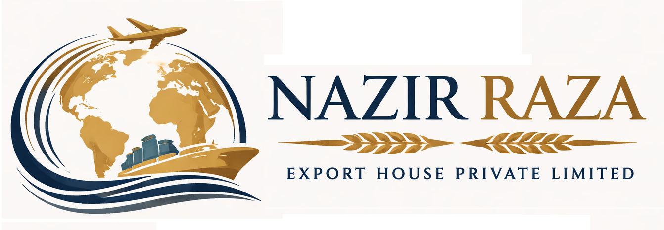 Nazir Raza Logo