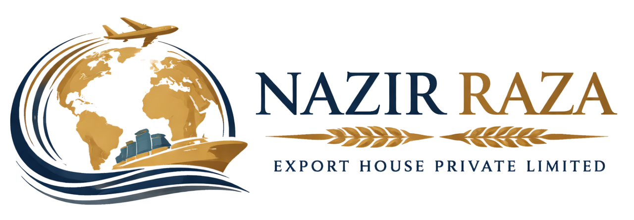 Nazir Raza Logo